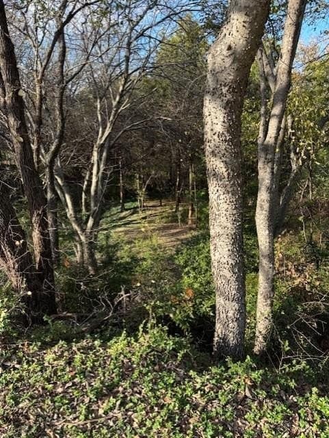 0.28 acres in Dallas County - photo 4