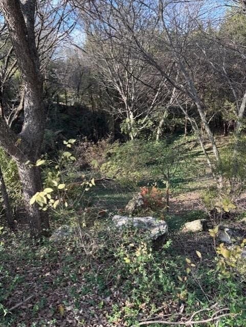 0.28 acres in Dallas County - photo 2