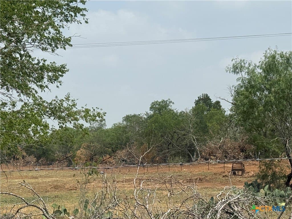 11.5 acres in Wilson County - photo 8