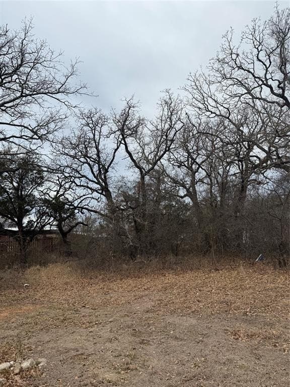 0.1 acres in Hood County - photo 2