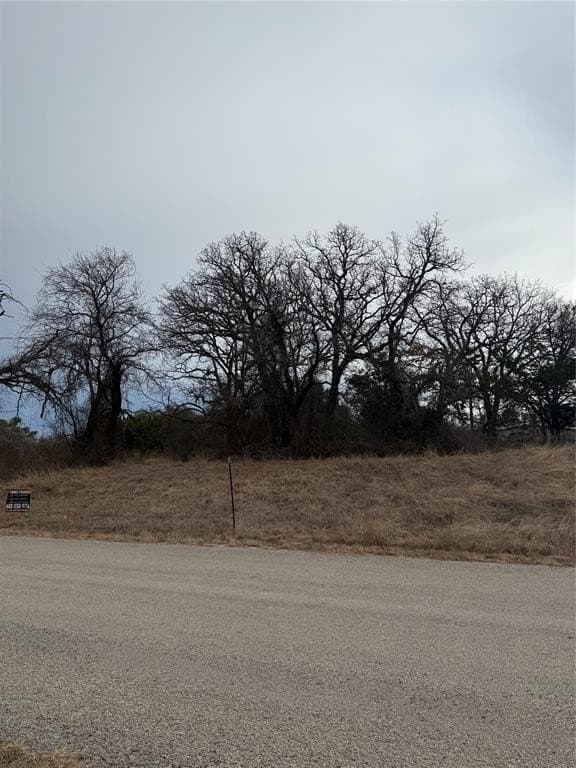 0.1 acres in Hood County - photo 3
