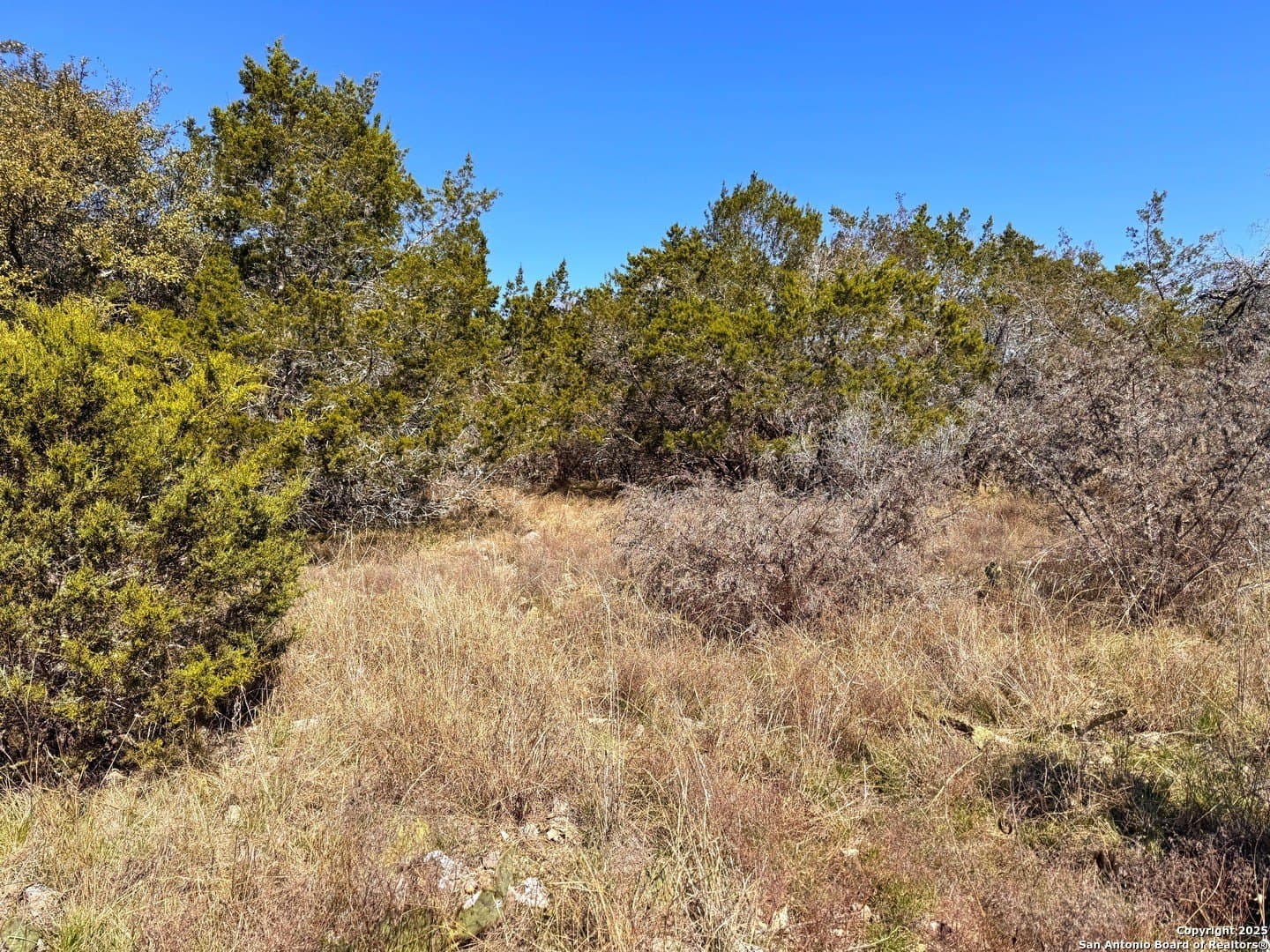 1.31 acres in Comal County - photo 7