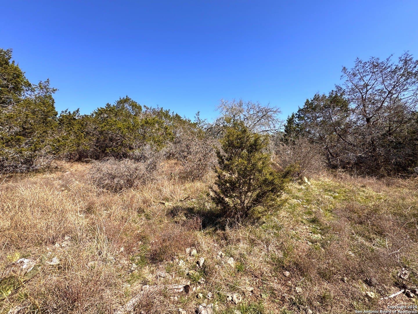 1.31 acres in Comal County - photo 13