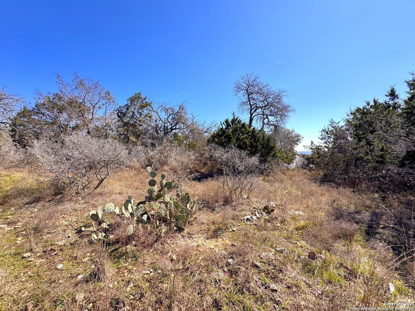 1.31 acres in Comal County - photo 11