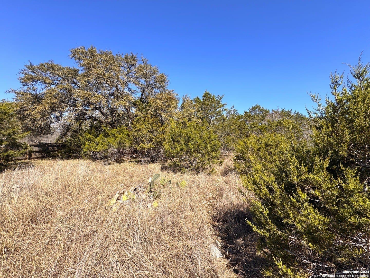 1.31 acres in Comal County - photo 9