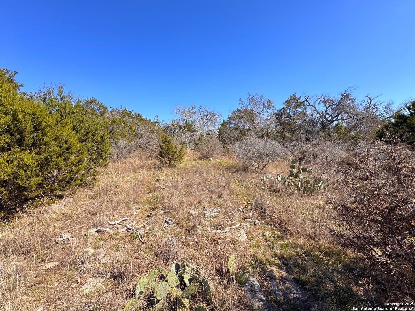 1.31 acres in Comal County - photo 12