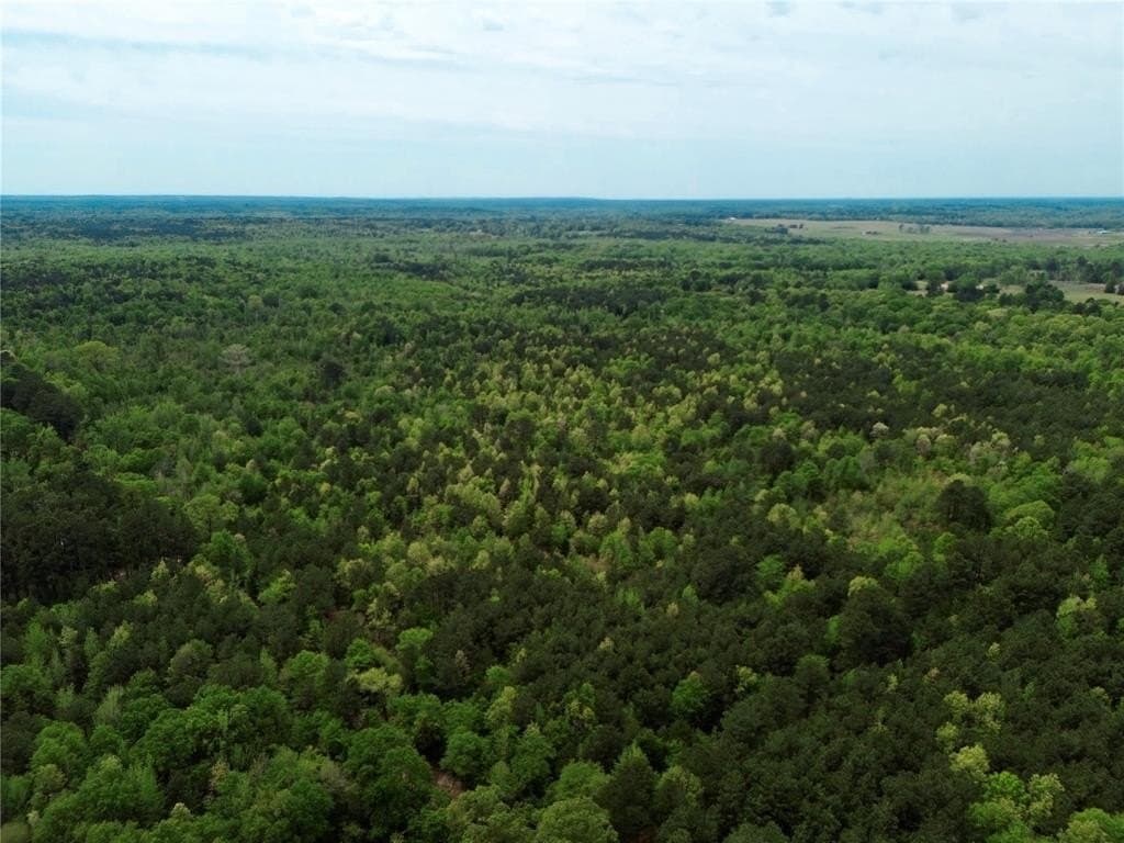 114.19 acres in Cass County - photo 27