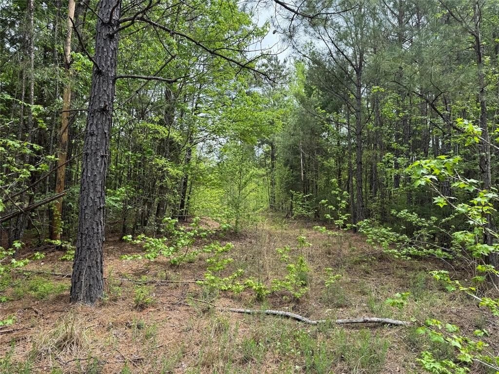 114.19 acres in Cass County - photo 21