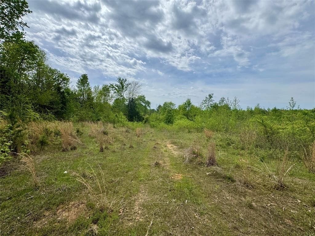 114.19 acres in Cass County - photo 4