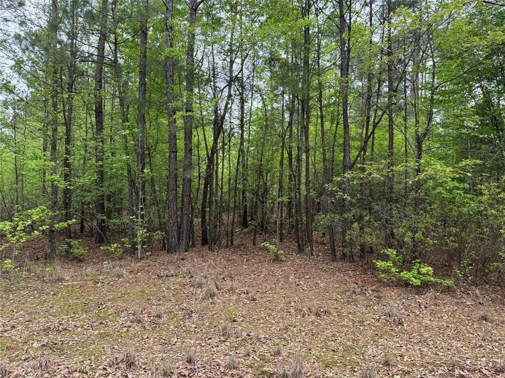 114.19 acres in Cass County - photo 26