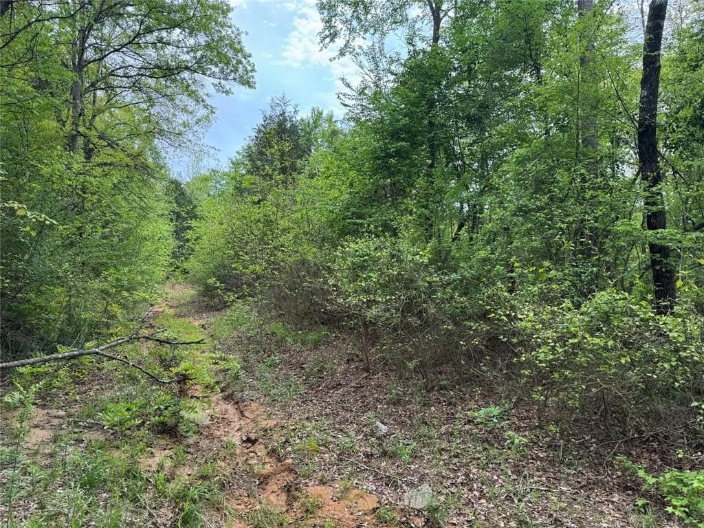 114.19 acres in Cass County - photo 6