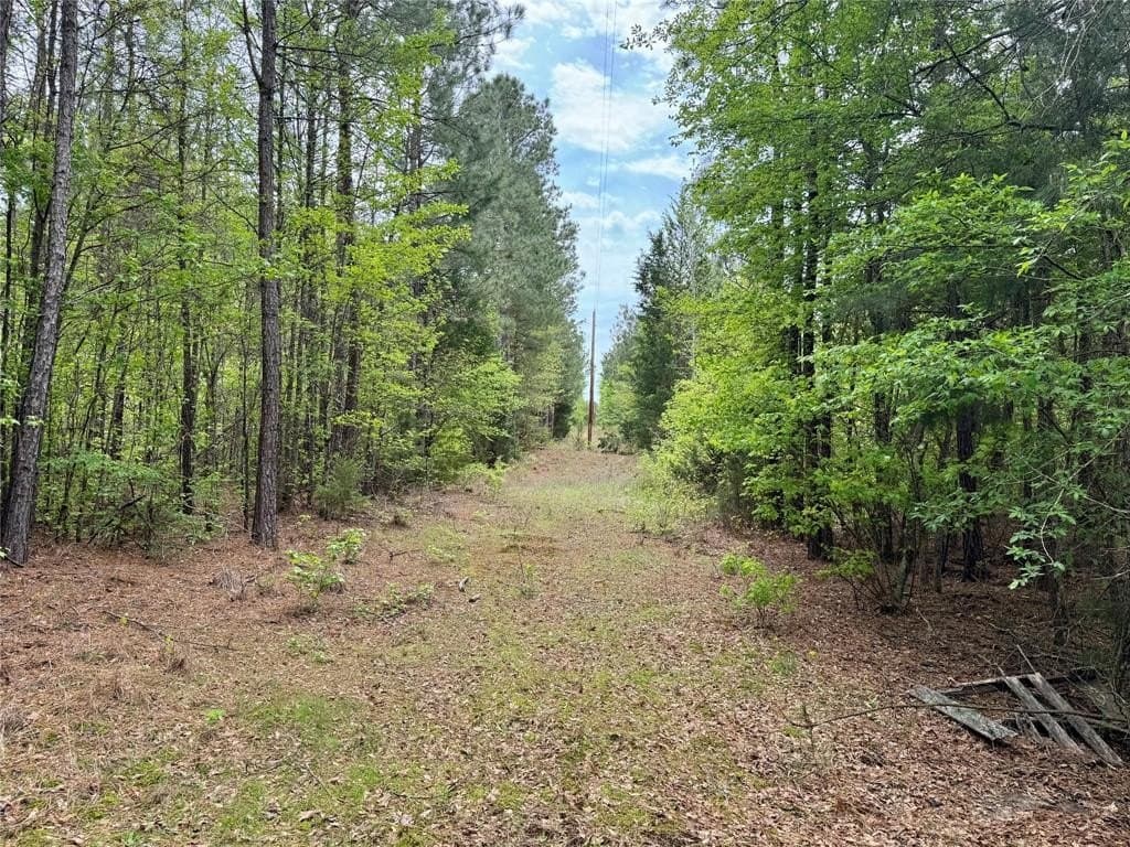 114.19 acres in Cass County - photo 16