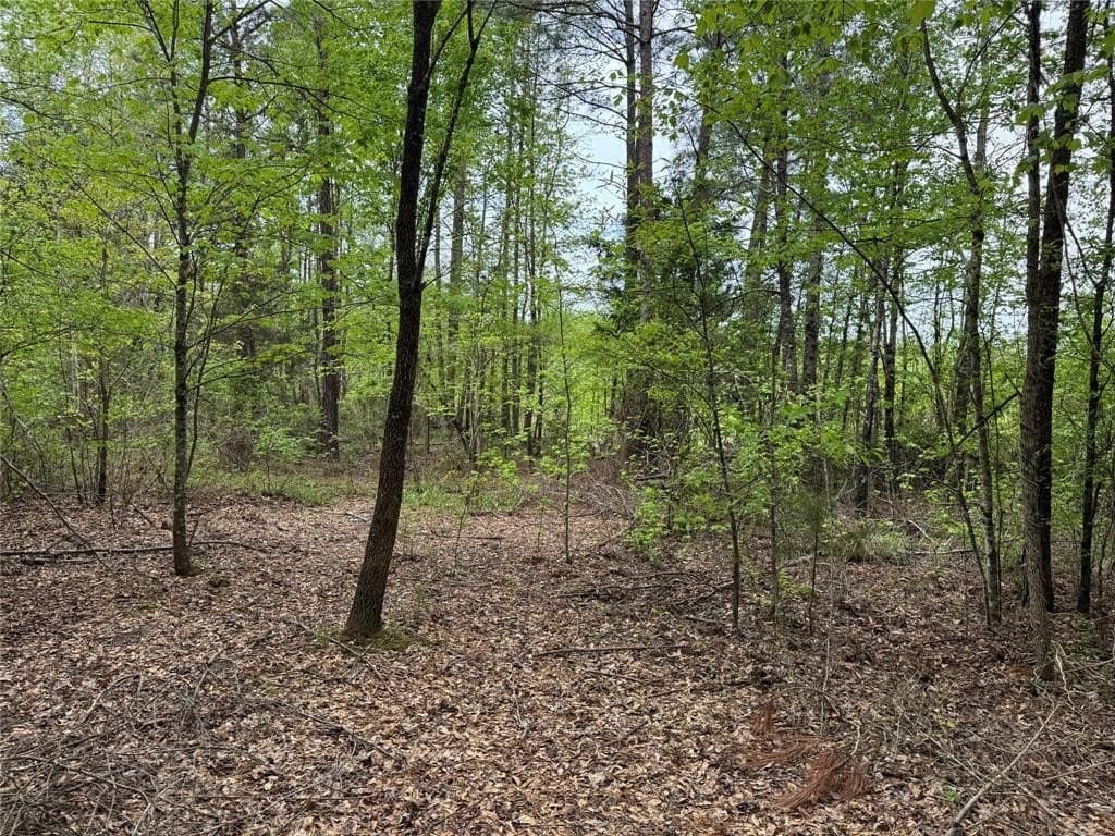 114.19 acres in Cass County - photo 24