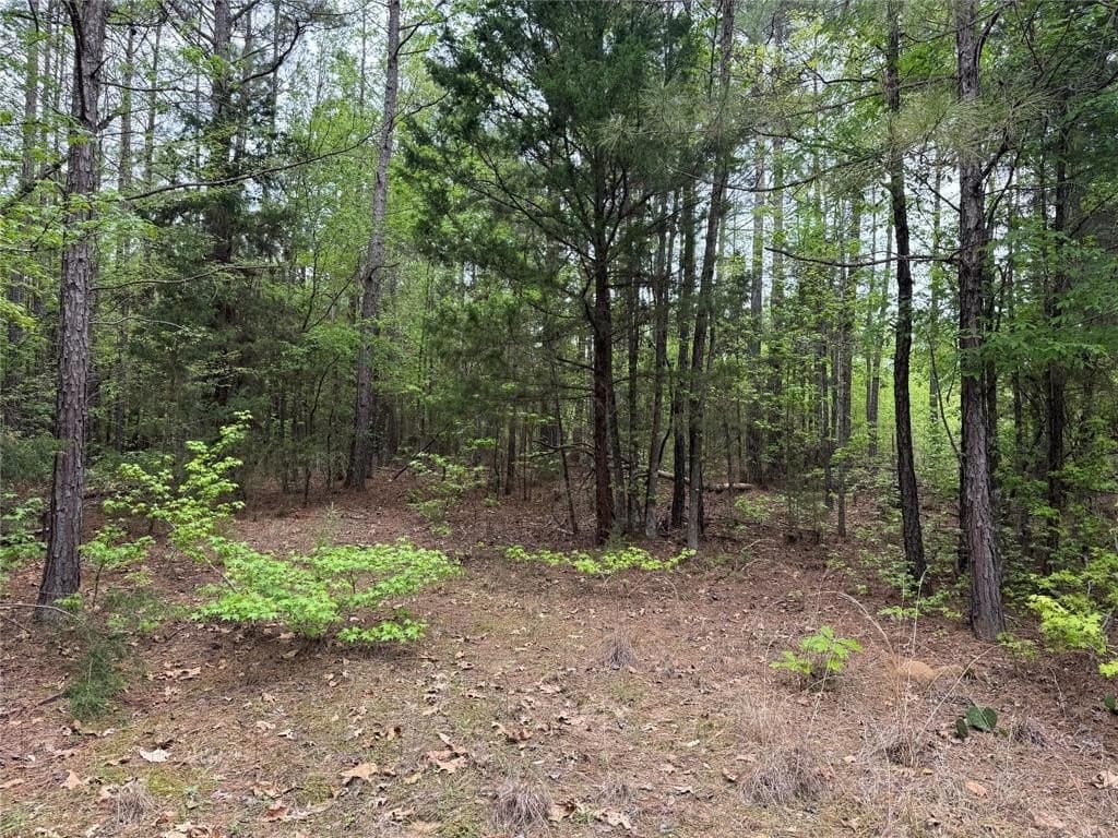 114.19 acres in Cass County - photo 19