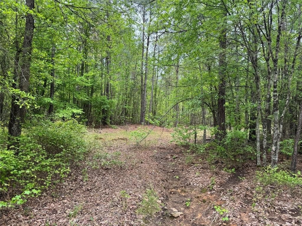 114.19 acres in Cass County - photo 7