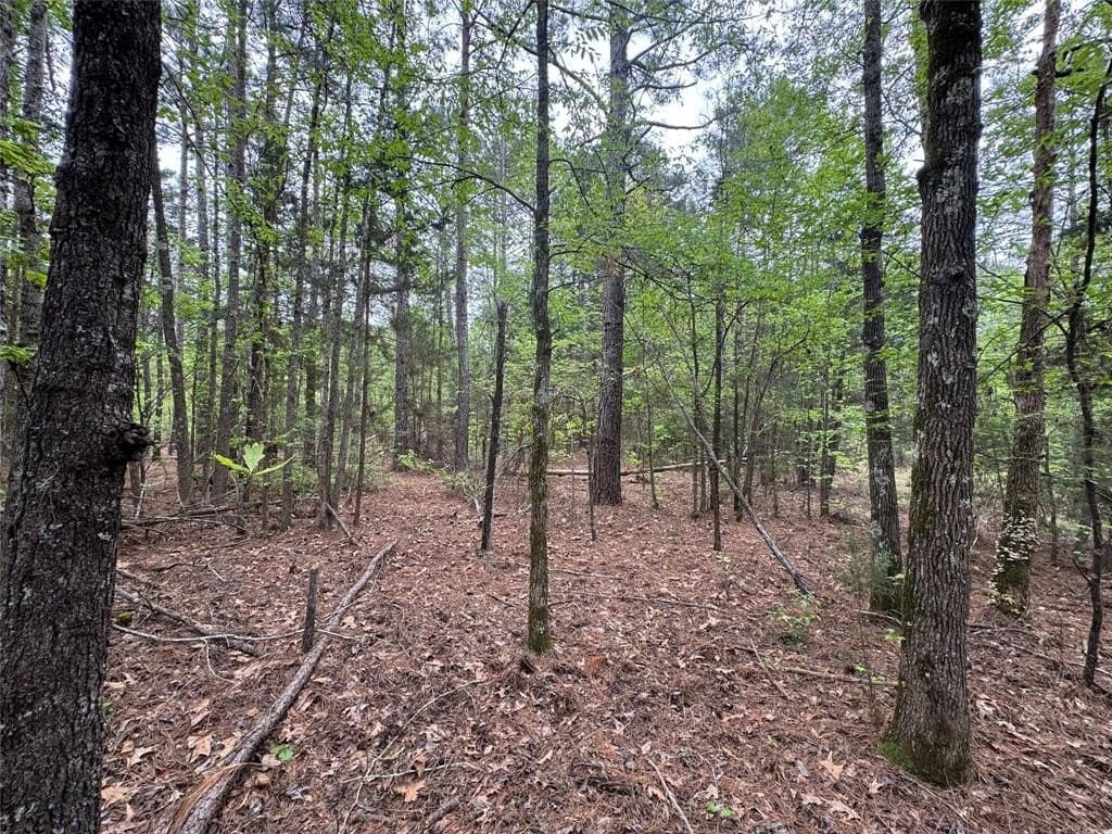114.19 acres in Cass County - photo 25