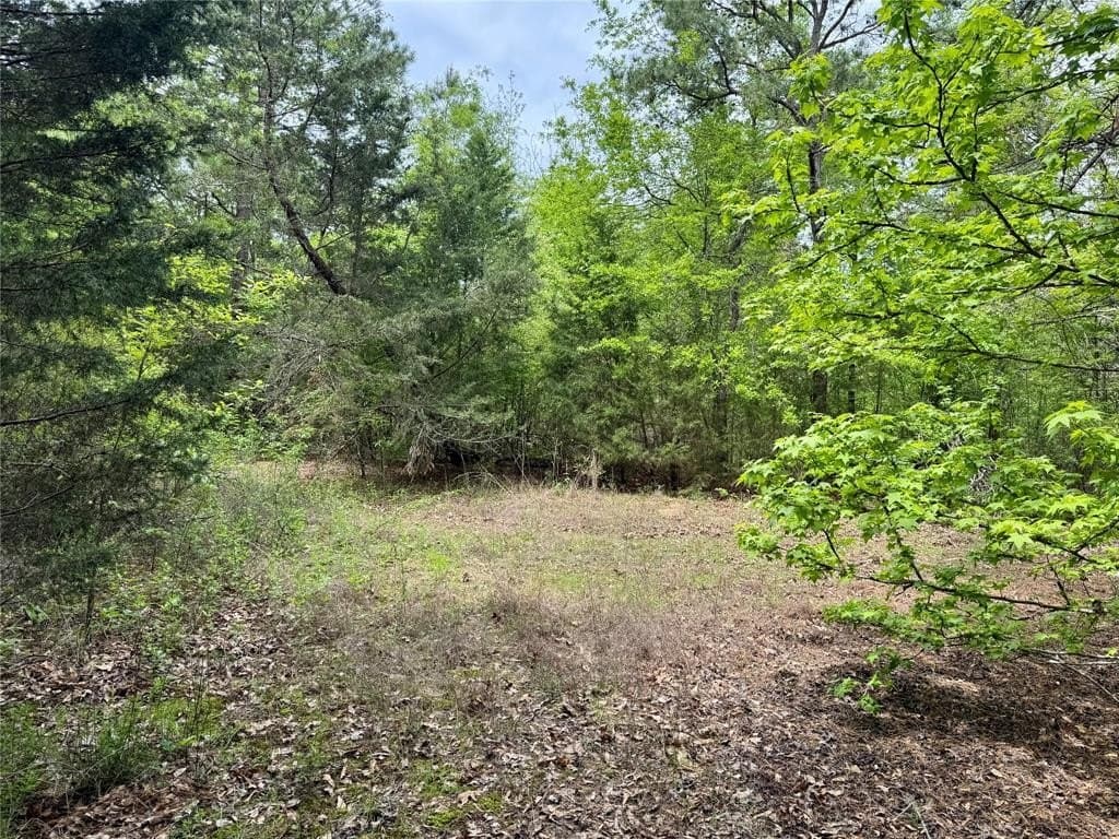 114.19 acres in Cass County - photo 10