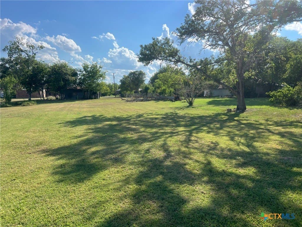 0.73 acres in DeWitt County - photo 3