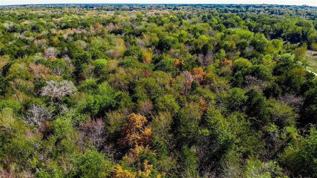 6.2 acres in Navarro County - photo 3