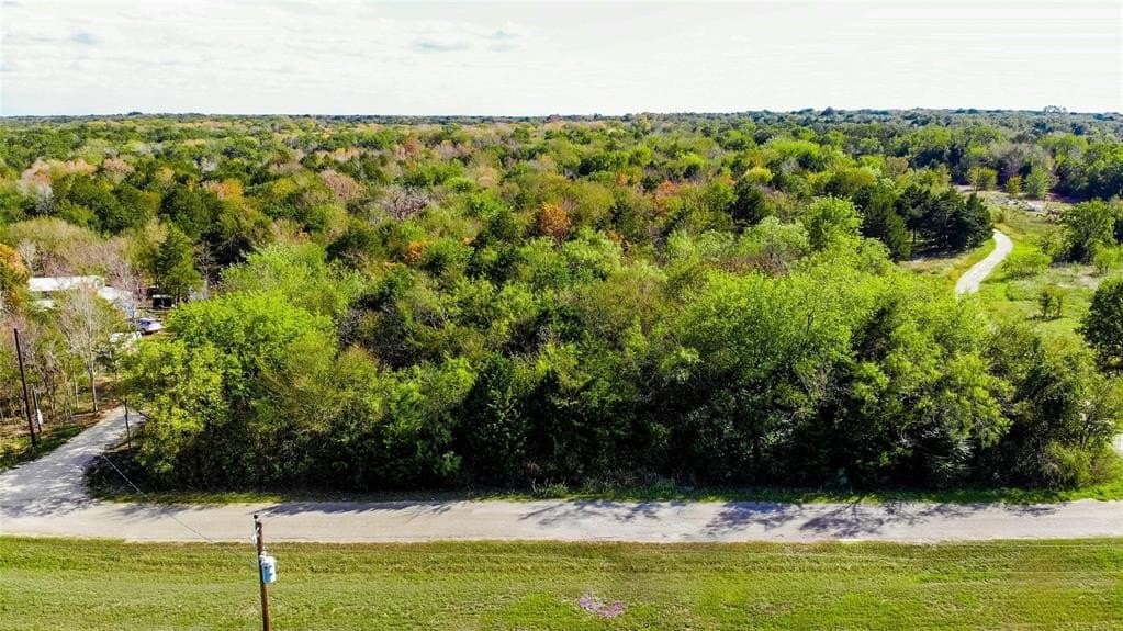 6.2 acres in Navarro County - photo 7