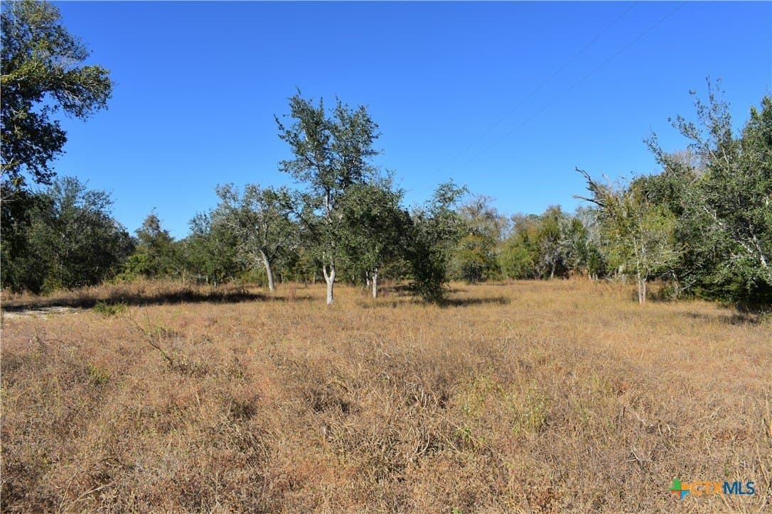 4.33 acres in Gonzales County - photo 9