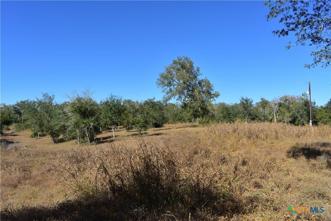 4.33 acres in Gonzales County - photo 10