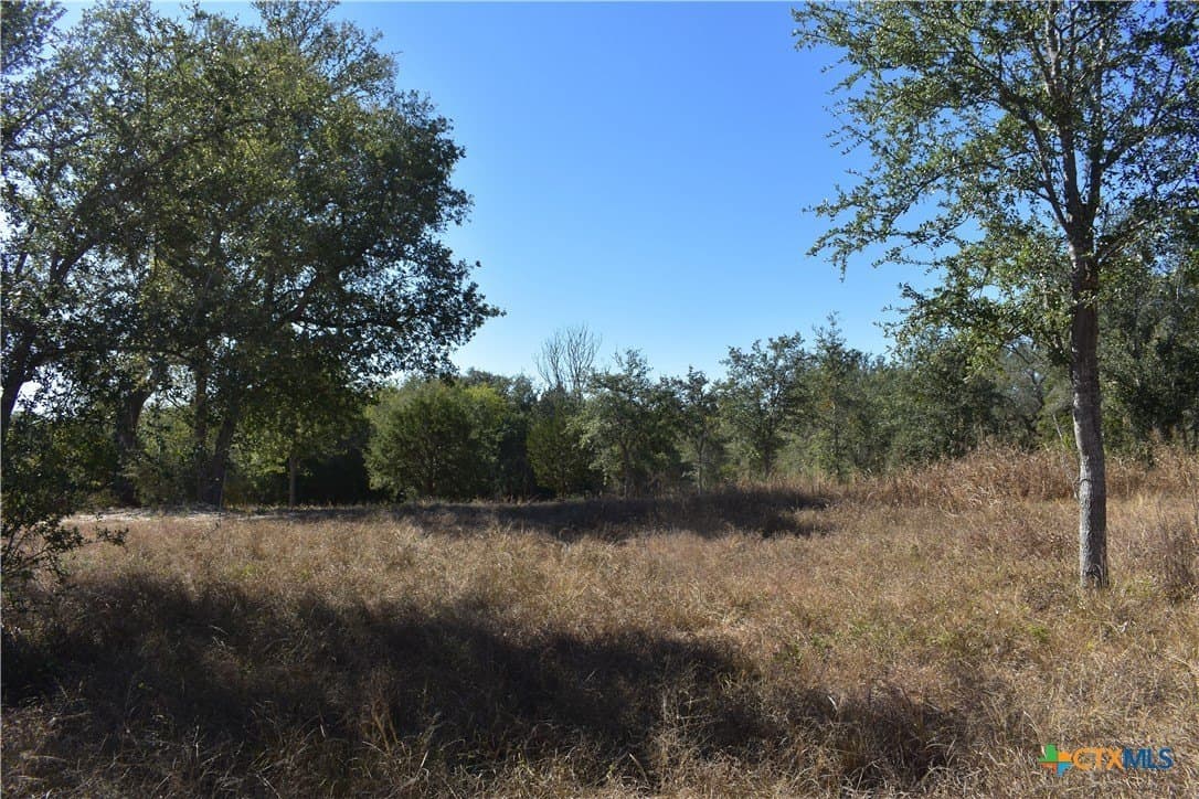 4.33 acres in Gonzales County - photo 22