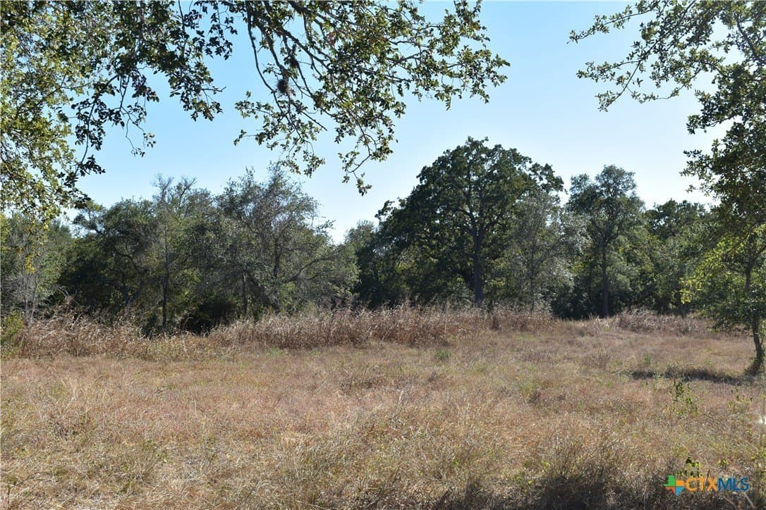 4.33 acres in Gonzales County - photo 11