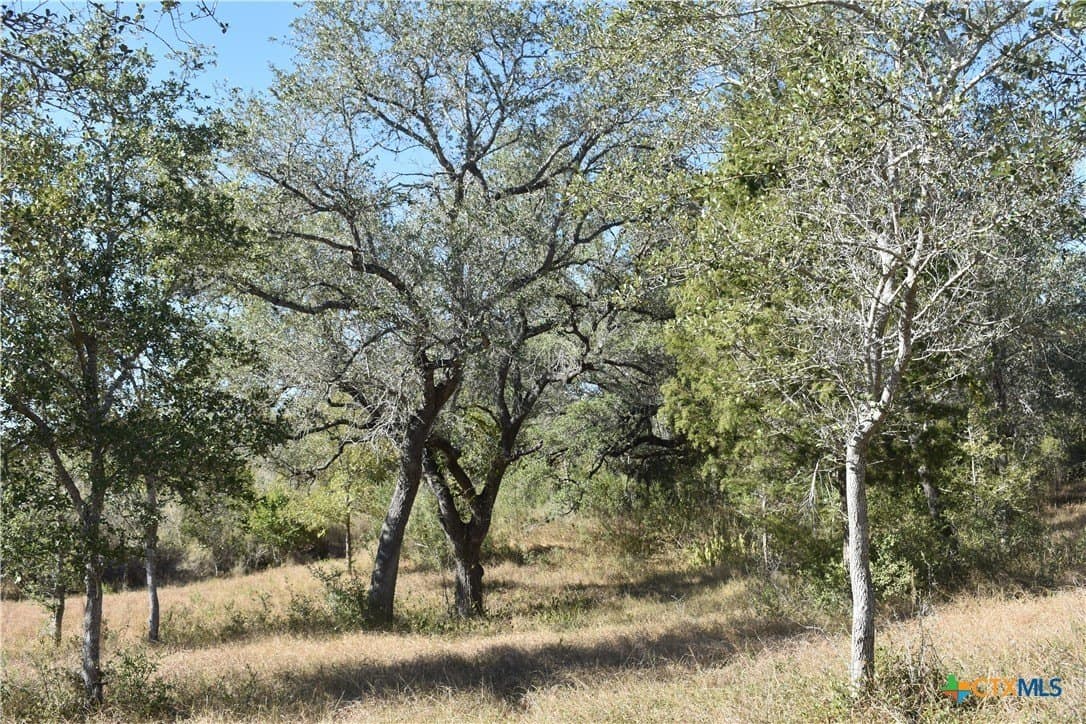 4.33 acres in Gonzales County - photo 16