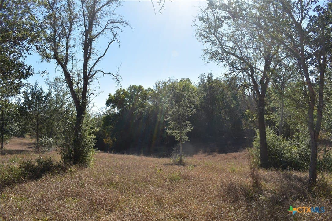 4.33 acres in Gonzales County - photo 13