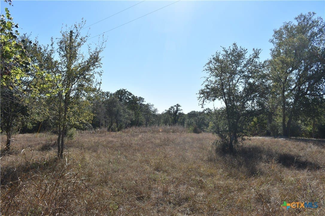4.33 acres in Gonzales County - photo 20