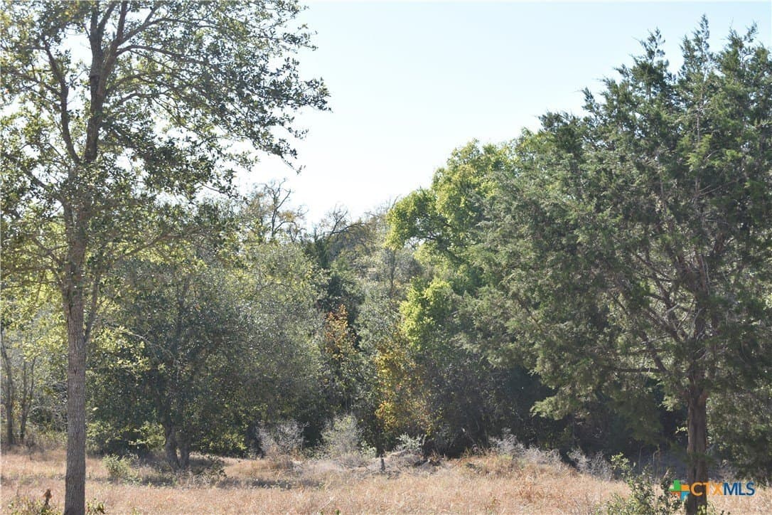 4.33 acres in Gonzales County - photo 18