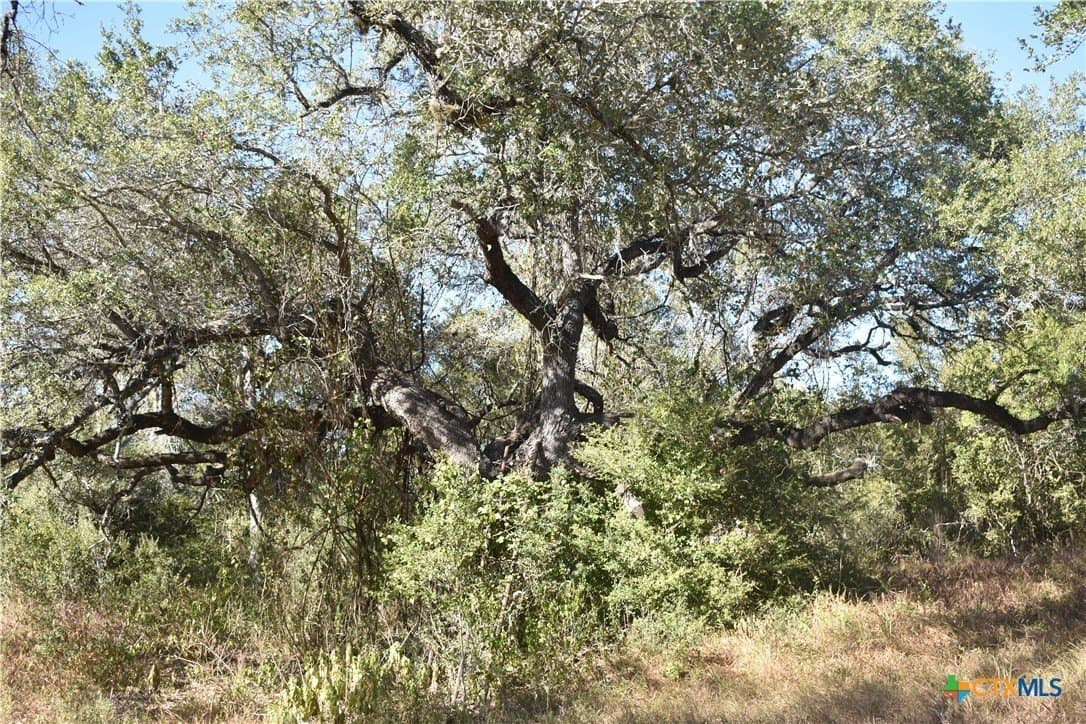 4.33 acres in Gonzales County - photo 6
