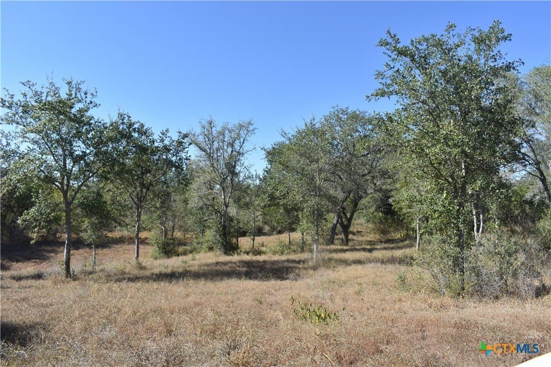 4.33 acres in Gonzales County - photo 17