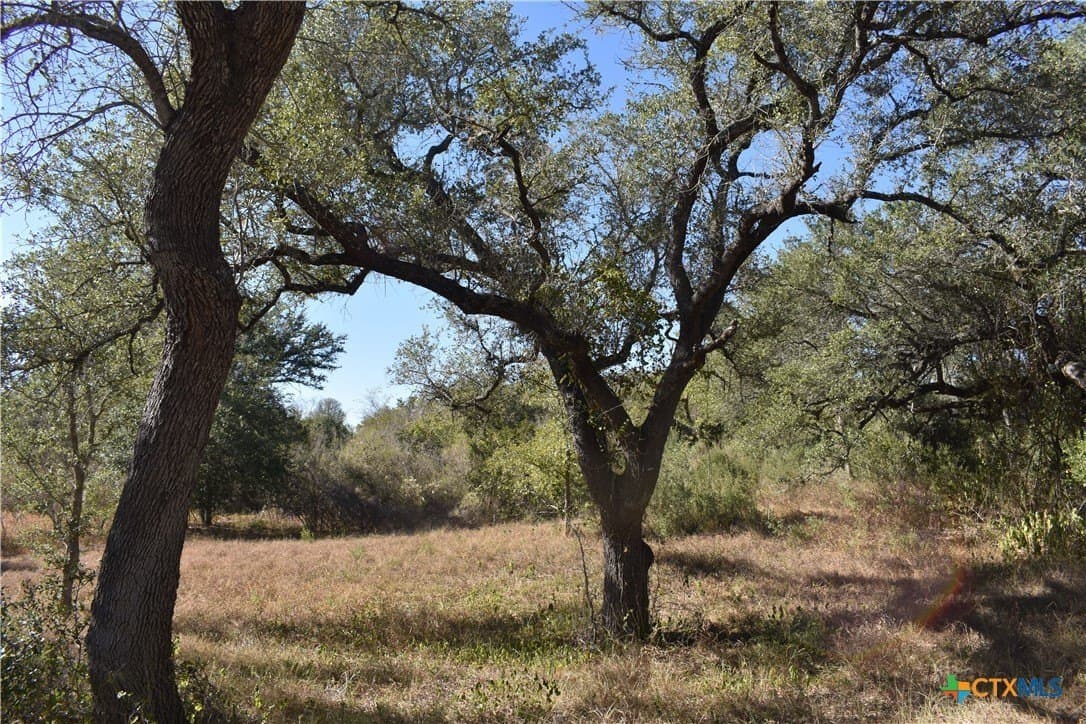 4.33 acres in Gonzales County - photo 15
