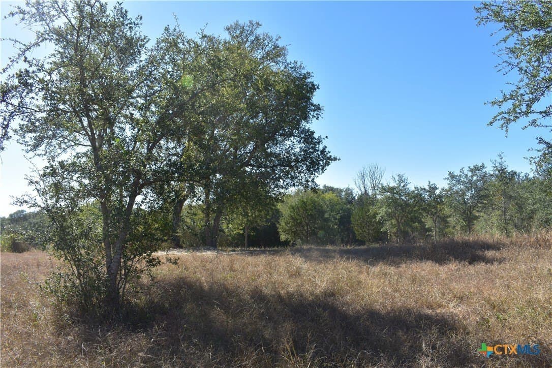 4.33 acres in Gonzales County - photo 21