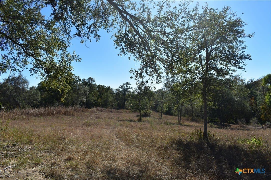 4.33 acres in Gonzales County - photo 4