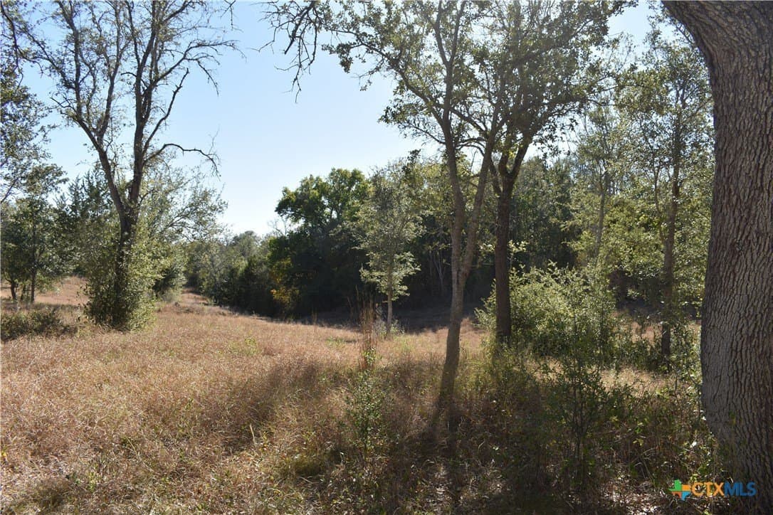 4.33 acres in Gonzales County - photo 14