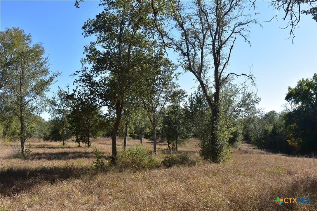 4.33 acres in Gonzales County - photo 7