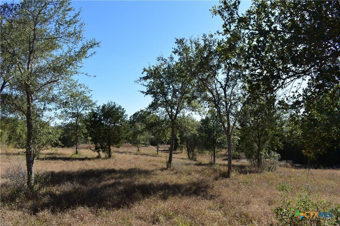 4.33 acres in Gonzales County - photo 12