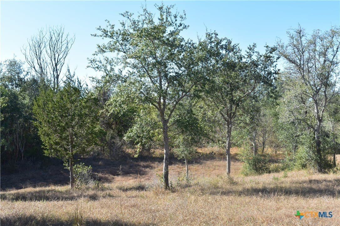 4.33 acres in Gonzales County - photo 5