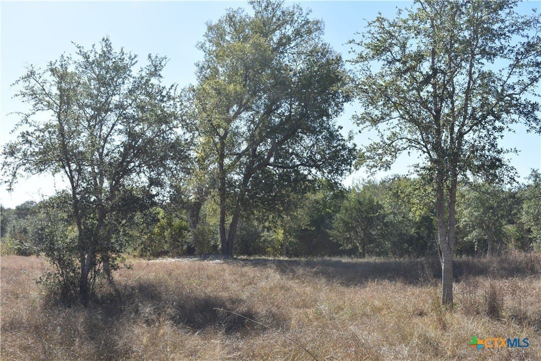 4.33 acres in Gonzales County - photo 19