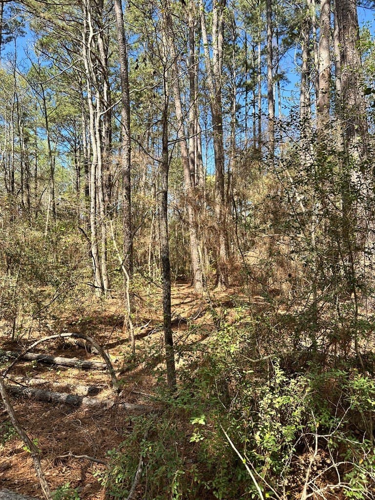 5.3 acres in ANDERSON County - photo 5