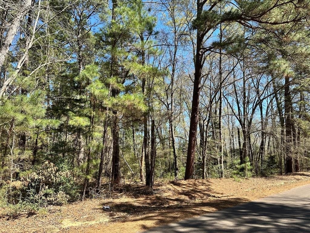 TBD An County Road 1204