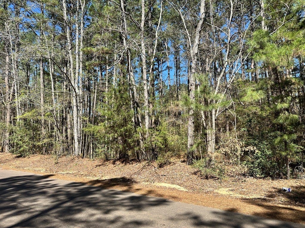 5.3 acres in ANDERSON County - photo 3
