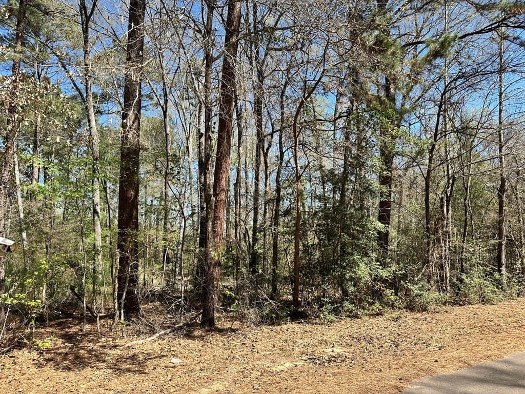 5.3 acres in ANDERSON County - photo 2