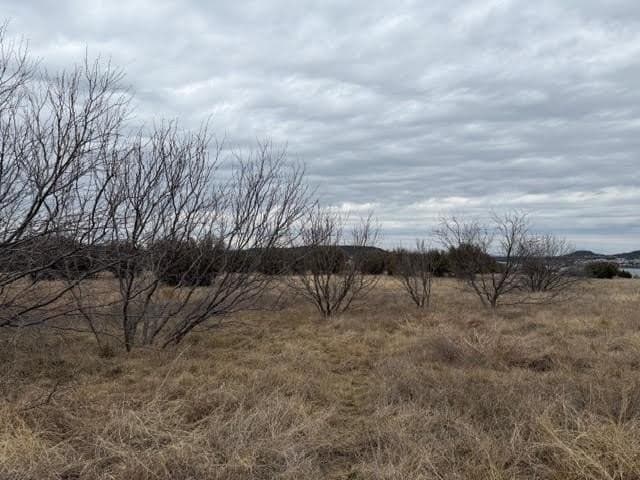 1.67 acres in Palo Pinto County - photo 3