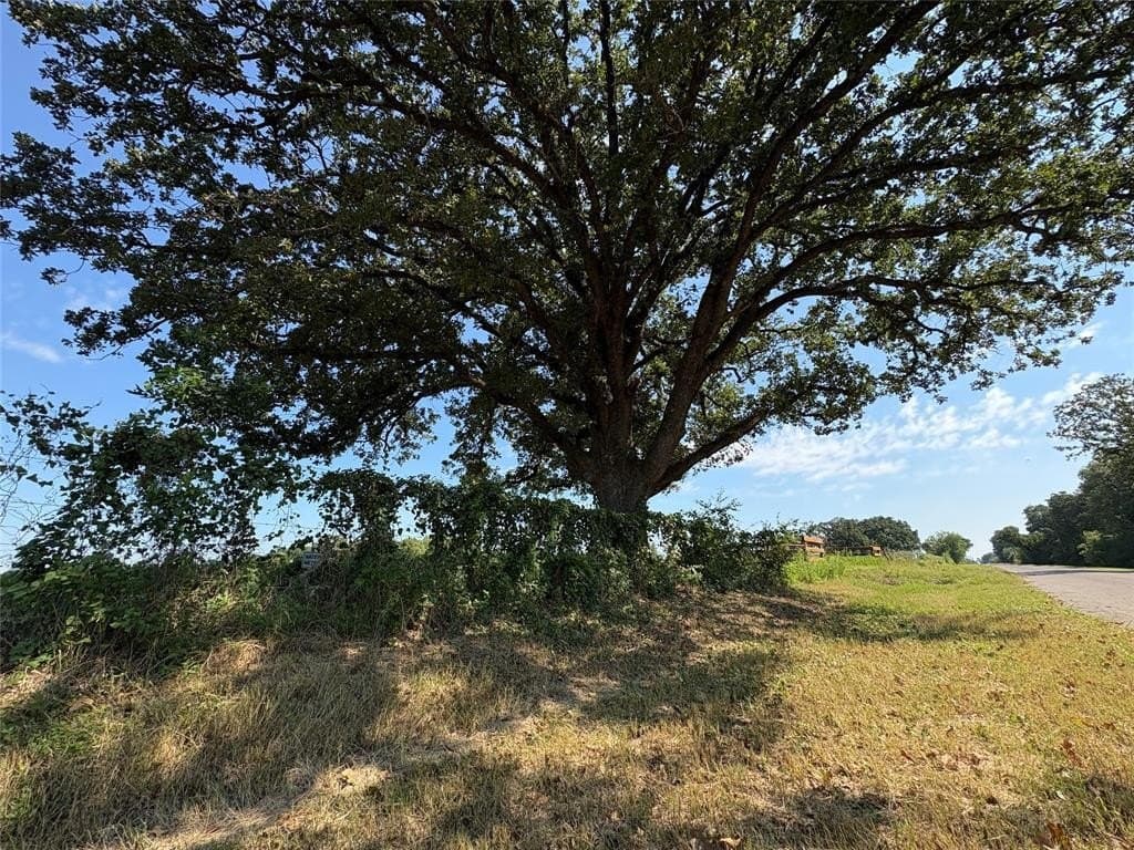 5 acres in Robertson County - photo 6