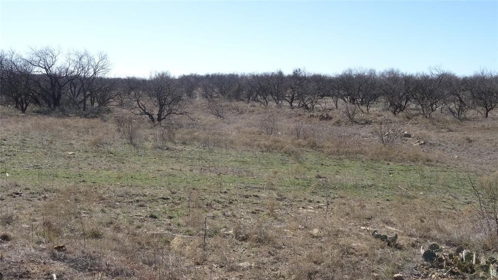 329.6 acres in Callahan County - photo 11