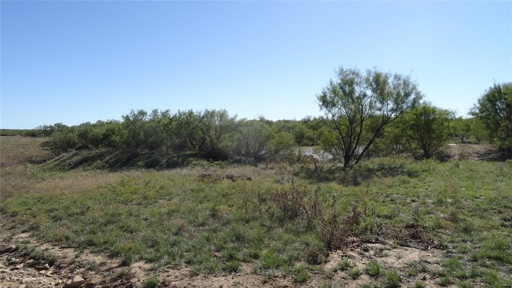 329.6 acres in Callahan County - photo 6